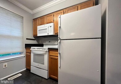 9740 Pleasant Gate Ln, Potomac, MD 20854 - photo 3