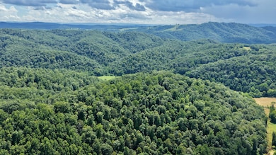 DJI_20250727150802_0004_D