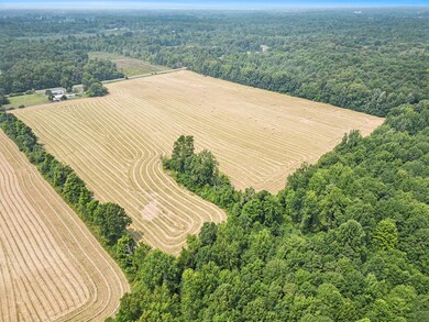 010_dji_0685