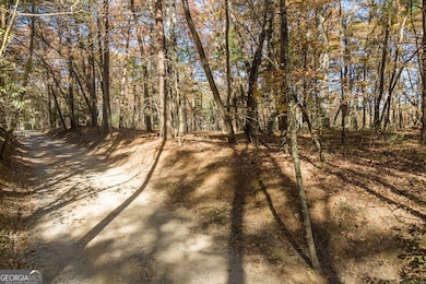 TR 1 Old Anderson Creek, Ellijay, GA 30536 - photo 4