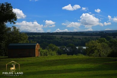 31900 S 240 Rd, Henryetta, OK 74437 - photo 3