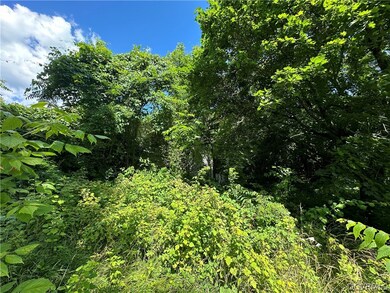 View of local wilderness