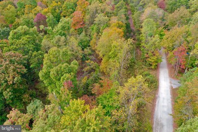 0 Paynes Ln, Aquia, VA 22554 - photo 3