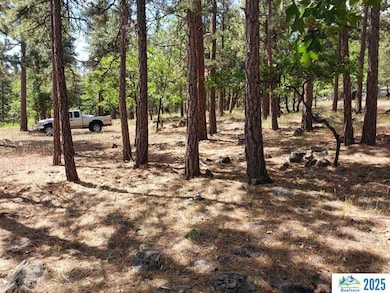 000 Dirt Pine St, Janesville, CA 96114 - photo 5