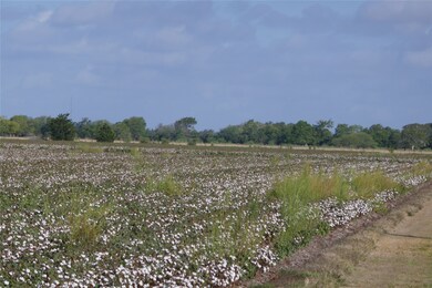 0 Pleasant Rd, Needville, TX 77461 - photo 6