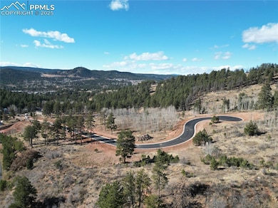 1370 Blue Haven Place, Woodland Park, CO 80863 - photo 3