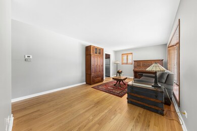 409 N Highview Ave, Elmhurst, IL 60126 - photo 3