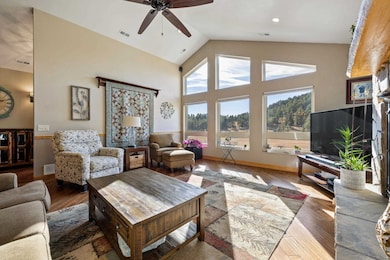 12548 Old Hill City Rd, Hill City, SD 57745 - photo 5