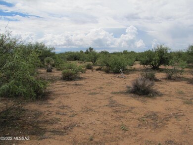 Mesquite on property
