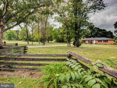 1287 Fishpaw Rd, Berryville, VA 22611 - photo 7