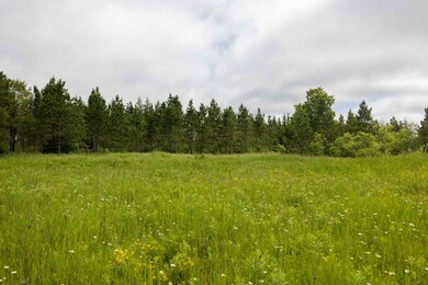 0 Brawley Rd, Newton Township, MI 49838 - photo 4