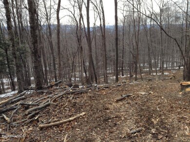 unlisted-address, Dalton, MA 01226 - photo 3