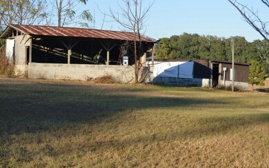 3833 NE County Road 238, Lake Butler, FL 32054 - photo 3