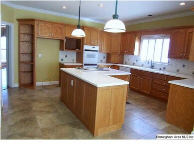 Dream kitchen with double ovens, gas cooktop, huge