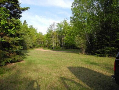 Lawn