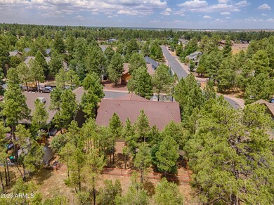 881 E Pine Ln, Show Low, AZ 85901 - photo 7