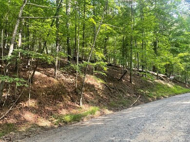 Lot 3279 Haven Ct, Ellijay, GA 30540 - photo 4