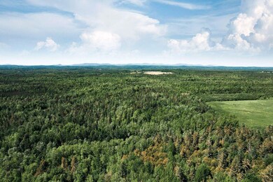 TBD Norton Hill Rd, Dover-Foxcroft, ME 04426 - photo 7