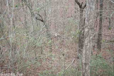 134 Magic Pine Ln, Mena, AR 71953 - photo 3