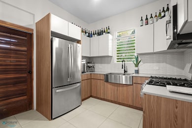 1505 Calle Loíza unit 2A, San Juan, PR 00911 - photo 6