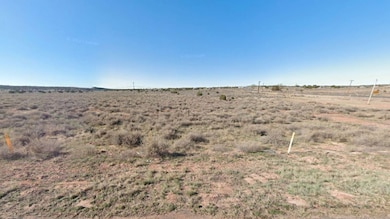 Apache unit AZ, Saint Johns, AZ 86512 - photo 3