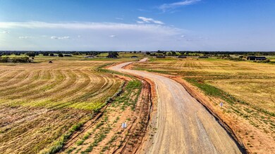 Lot 12 Three Quarter Loop, Poolville, TX 76487 - photo 5