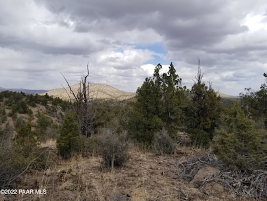 8 Juniperwood Ranch, Ash Fork, AZ 86320 - photo 4