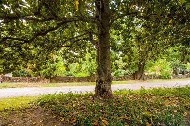 820 Stuckey Dr, Longview, TX 75601 - photo 4