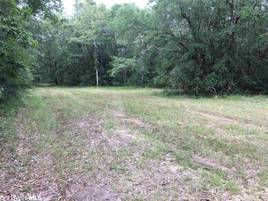 0 New Hope Church Rd, Robertsdale, AL 36567 - photo 5