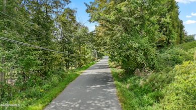 0 Miner Rd, New Ashford, MA 01237 - photo 2