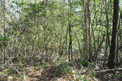 Yep! Wooded