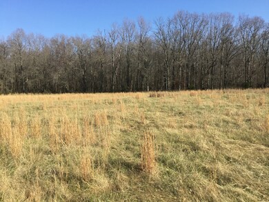 0 Fredonia Rd unit RTC2527162, Manchester, TN 37355 - photo 2