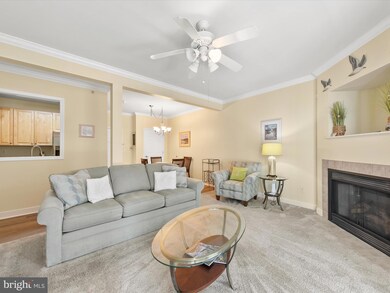 30611 Cedar Neck Rd unit 2204, Ocean View, DE 19970 - photo 6