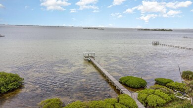 Nearly 200 ft dock on Banana Riv