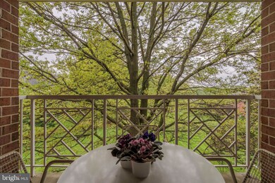 6 Elphin Ct unit 302, Lutherville Timonium, MD 21093 - photo 3