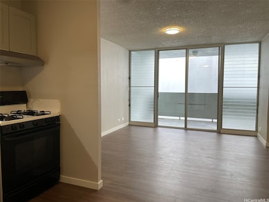 from the entry through kitchen to the living area that connects to a huge 175 sq ft lanai