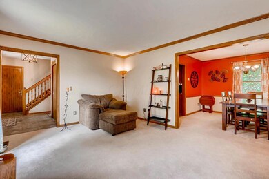 272 Pampas Ct Columbus OH-large-004-8-Li