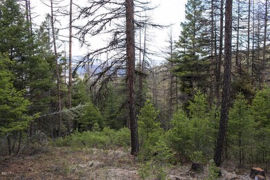 386 Rachael Meadow Ln, Kila, MT 59920 - photo 2