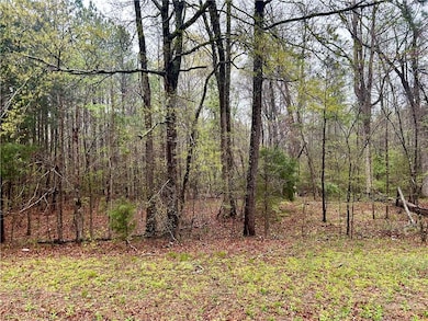 0 Walker Mountain Rd SW unit 7551047, Rome, GA 30161 - photo 6