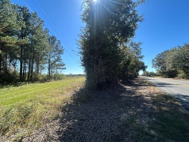 20+-ac Coot Adams Rd, Ashford, AL 36312 - photo 7