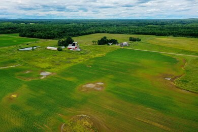 +/-19.85 Acres Wiese Dr, Rib Lake, WI 54470 - photo 4