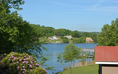 Additional View