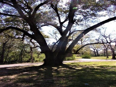 3 Linden Dr, Natchez, MS 39120 - photo 3