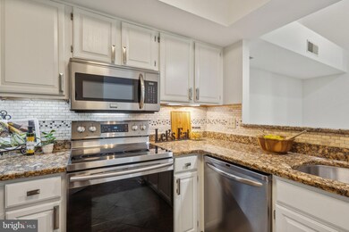 1377 Garden Wall Cir unit 607, Reston, VA 20194 - photo 6