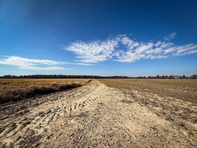 0 County Road 105, Hickory Ridge, AR 72347 - photo 5