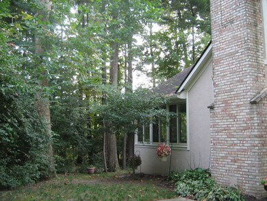 339 jessing trail 010