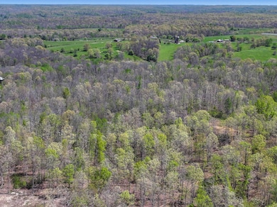 0 Slaughter Rd unit RTC3017612, Primm Springs, TN 38476 - photo 6