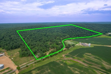 21202 State Highway Mm, Grassy, MO 63751 - photo 2