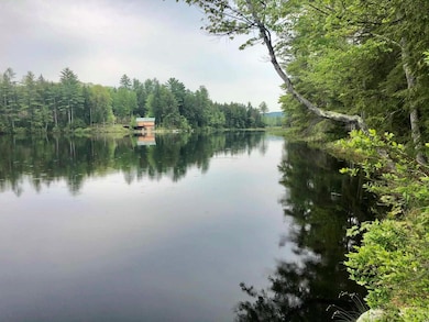 42 Forest Pond Rd unit 42, New Hampton, NH 03256 - photo 4