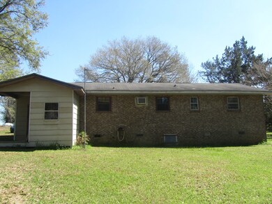 Back View